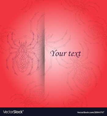 Spiders pattern vector image