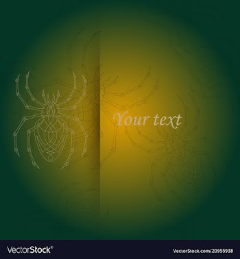 Spiders pattern vector image
