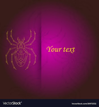 Spiders pattern vector image