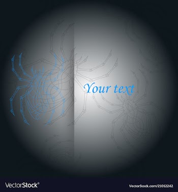 Spiders pattern vector image