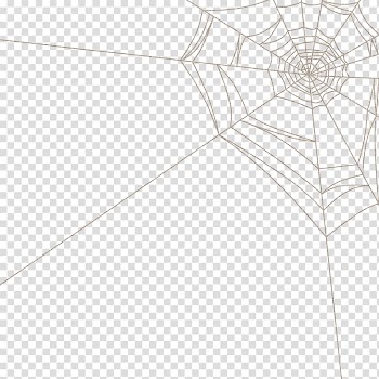 Spiderweb illustration, Floor Line Structure Symmetry Pattern, Spider web spider web cartoon transparent background PNG clipart