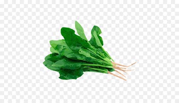Spinach Chard Herb Dock Food - hierba ecommerce 