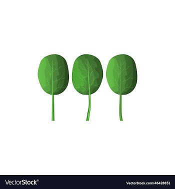 spinach icon