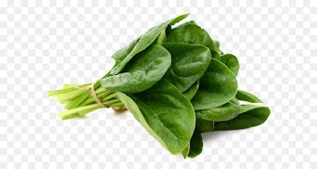 Spinach Leaf vegetable Food - espinaca 