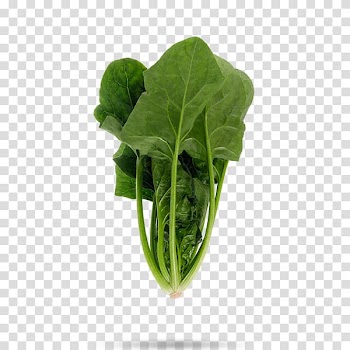 Spinach Leaf vegetable Food Komatsuna, spinach transparent background PNG clipart