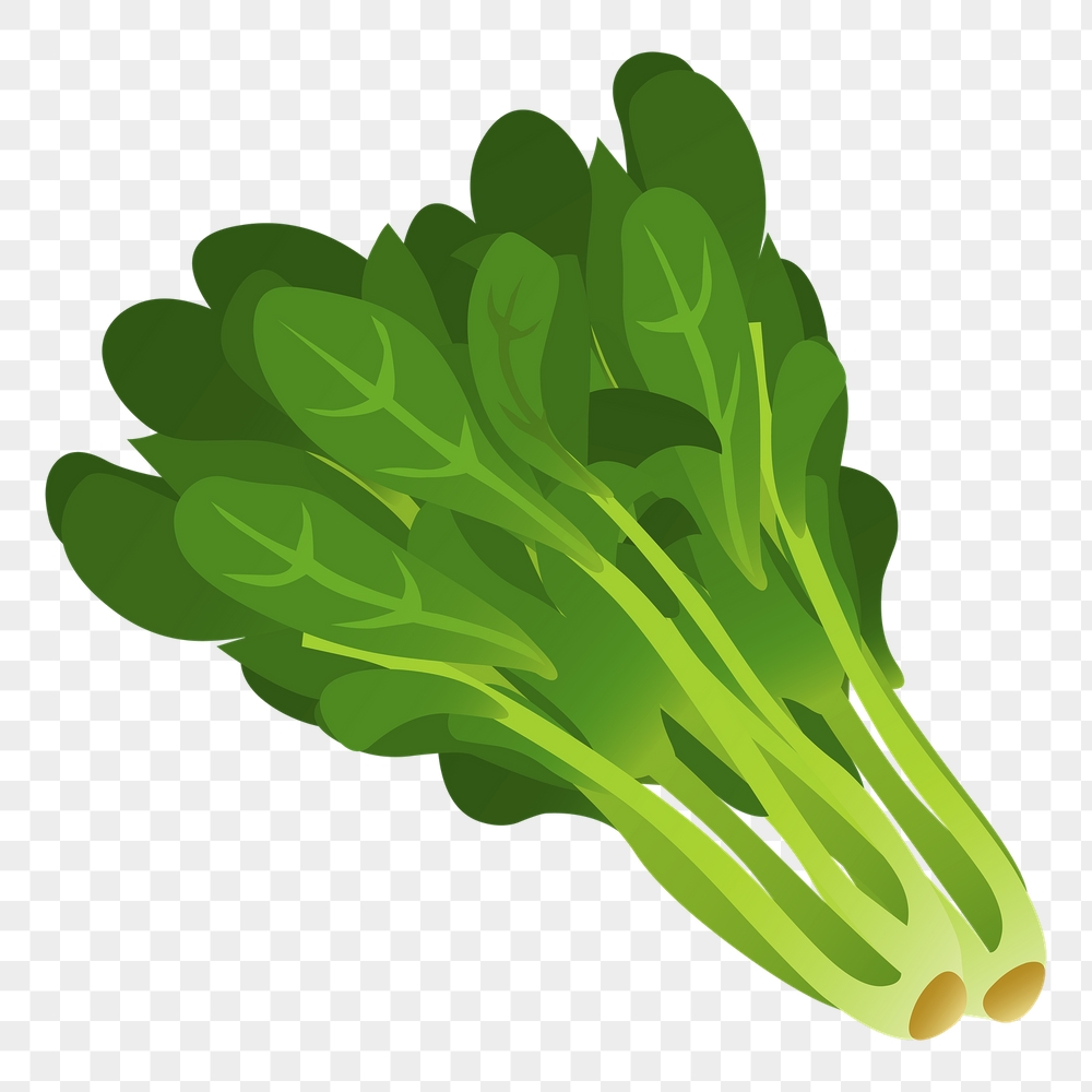 Spinach png sticker vegetable illustration, | Free PNG - rawpixel