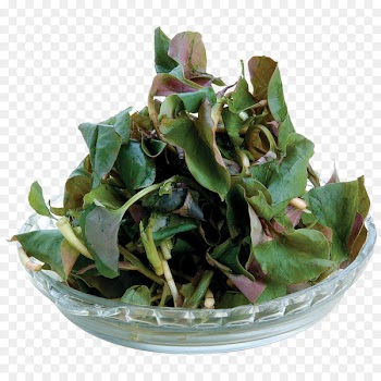 Spinach salad Sichuan cuisine Chicken fried bacon Food Dish - Sichuan ear root 