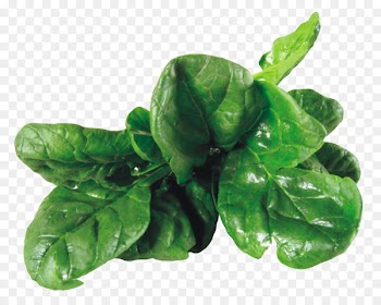 Spinach salad Vegetarian cuisine Vegetable Clip art - Spinach 
