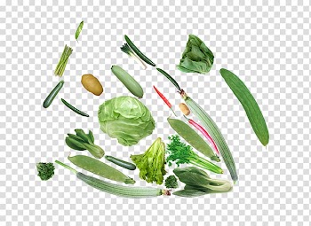 Spinach Vegetable Chard Spring greens, vegetables transparent background PNG clipart