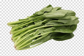 Spinach Vegetable Food Chinese cabbage Cucumber, vegitable transparent background PNG clipart