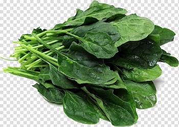 Spinach Vegetable Komatsuna, vegetable transparent background PNG clipart