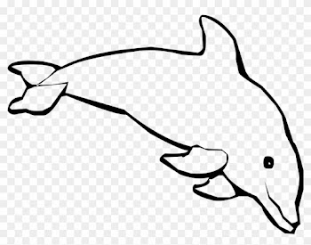 Spinner Dolphin Coloring Book Child Bottlenose Dolphin - Draw A Baby Dolphin