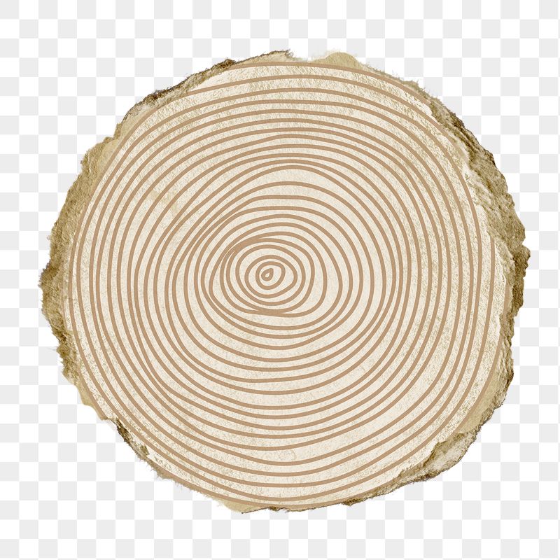 Spiral circle png sticker, torn | Free PNG - rawpixel