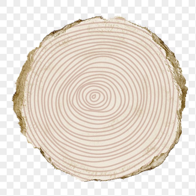Spiral round png sticker, ripped | Free PNG - rawpixel