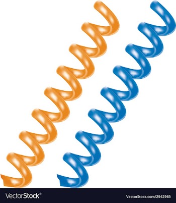  					Spiral telephone cable vector image														