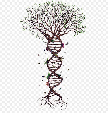 Spiral tree 
