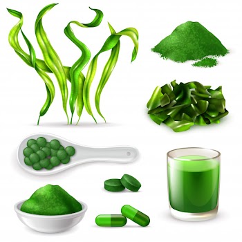 Spirulina realistic set Free Vector