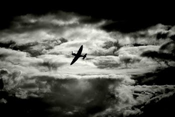 spitfire_silhouette_better.jpg