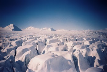 spitsbergen_glacier.jpg