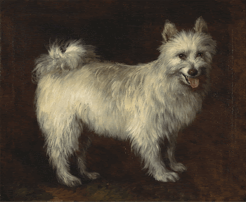 Spitz Dog (ca. 1765) painting | Free Photo - rawpixel