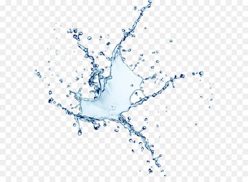 Splash 