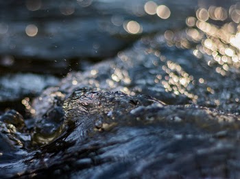splash