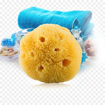 Sponge Bathing Bathroom Face Facial - Sponge bath bath toiletries 
