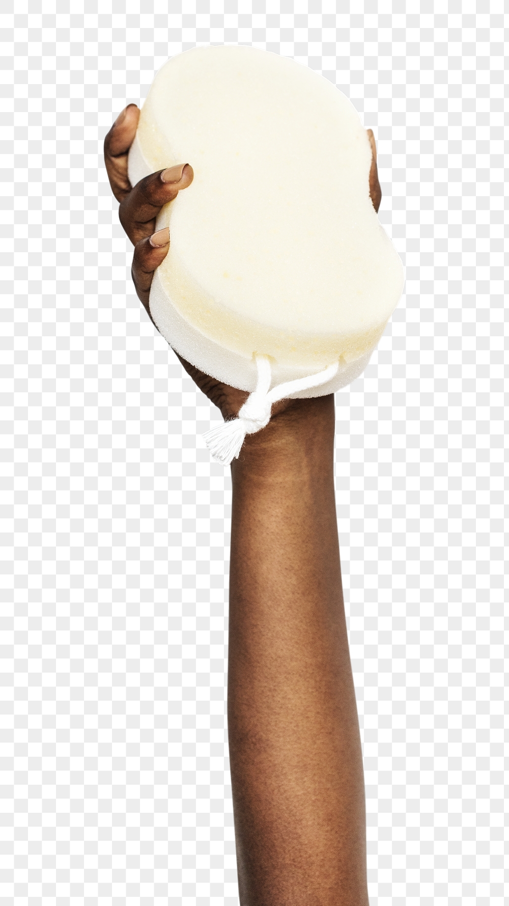 Sponge png in black hand | Free PNG - rawpixel