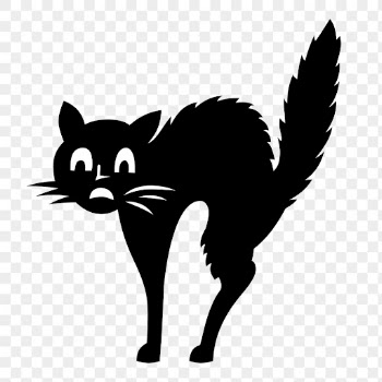 Spooked cat png Halloween drawing, | Free PNG - rawpixel