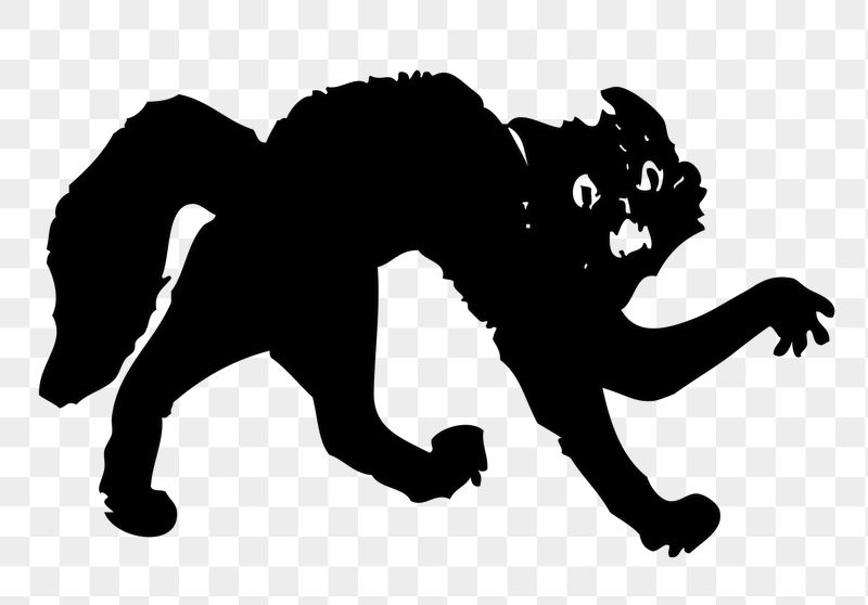 Spooked cat png sticker, transparent | Free PNG - rawpixel