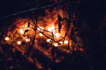 Spooky halloween decoration in the bushes
