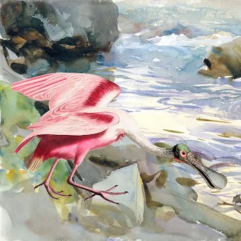 Spoonbill background, aesthetic drawing river | Free Photo Illustration - rawpixel