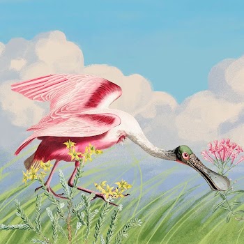 Spoonbill background, blue sky drawing | Free Photo Illustration - rawpixel