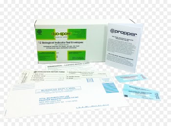 Spore, Online And Offline, Com, Health Care, Service PNG