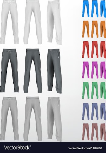  					Sport sweatpants set vector image														