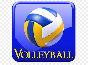 Sport Volleyball Volleyfest Head Basketball - volleyball match 