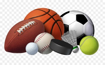 Sporting Goods Volleyball Coach - badminton 