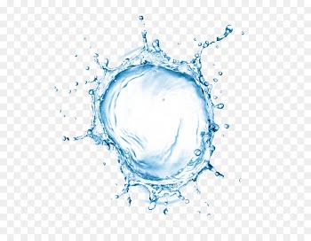 Sports & Energy Drinks Drinking Coconut water - water 