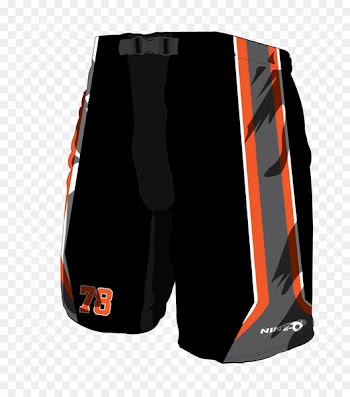 Sportswear Hockey Protective Pants & Ski Shorts - hockey 