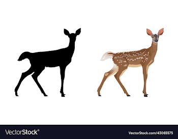 spotted deer with silhouette