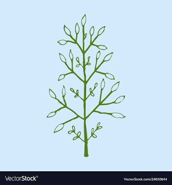 Sprig icon symbol vector image
