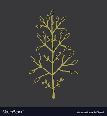 Sprig icon symbol vector image