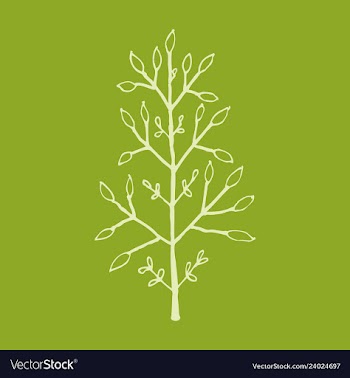 Sprig icon symbol vector image
