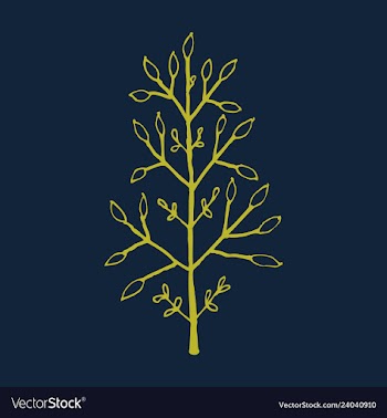 Sprig icon symbol vector image