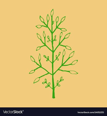 Sprig icon symbol vector image