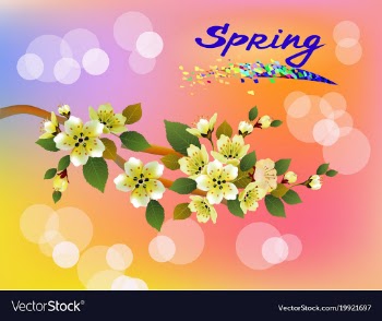 Spring all wakes up flowers sakura vector image