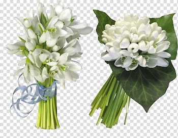 Spring Ansichtkaart Animation Holiday Smiley, White bouquet transparent background PNG clipart