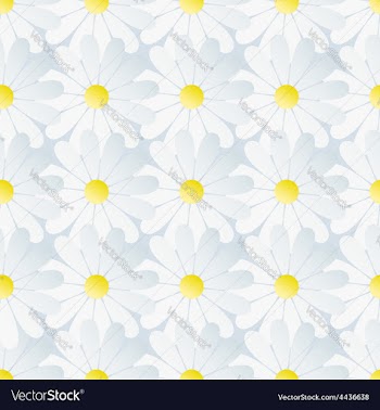  					Spring background seamless pattern white chamomile vector image														