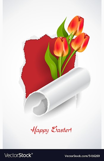 Spring background vector image