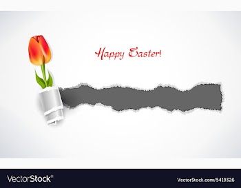 Spring background vector image